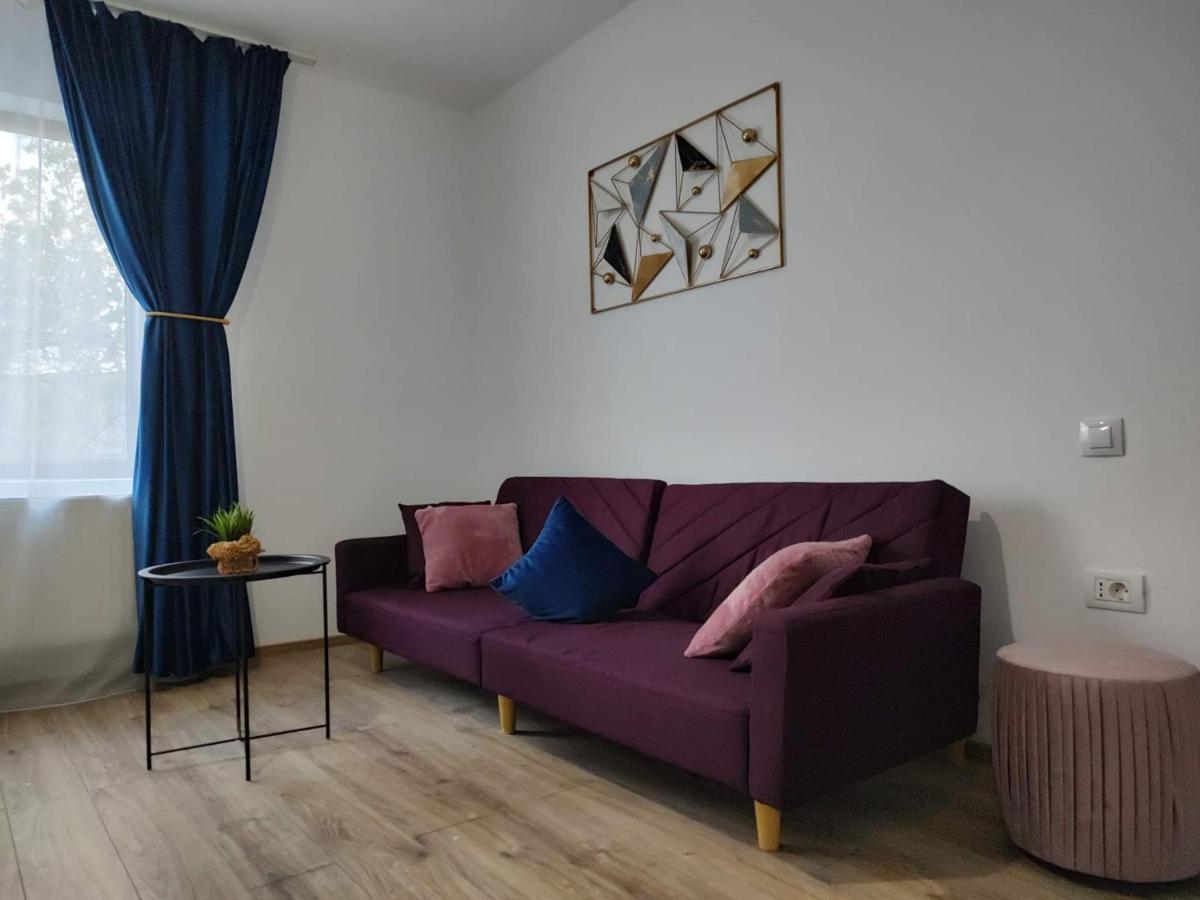 Dania&Petru Residence Aknavásár Kültér fotó