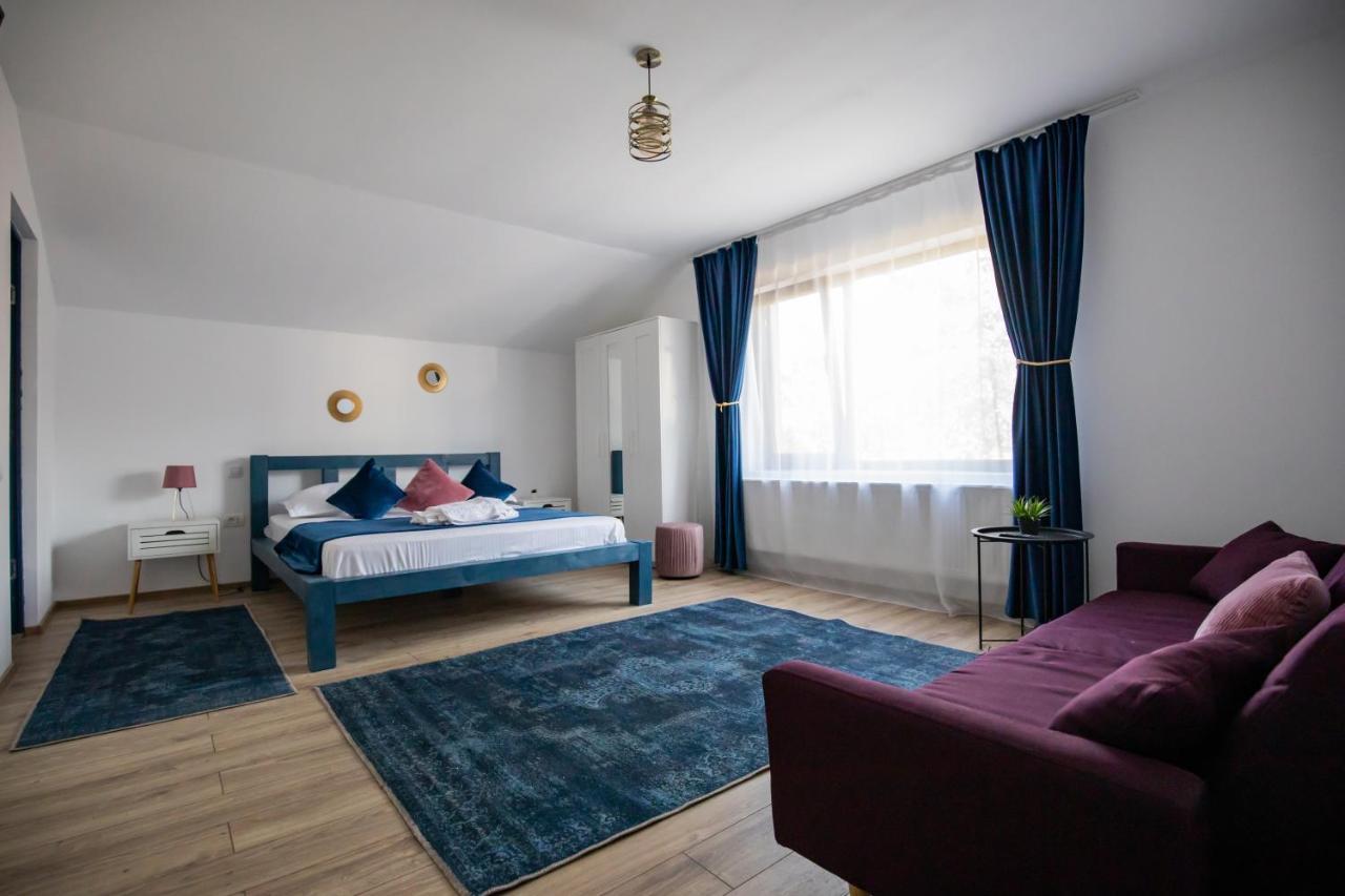 Dania&Petru Residence Aknavásár Kültér fotó