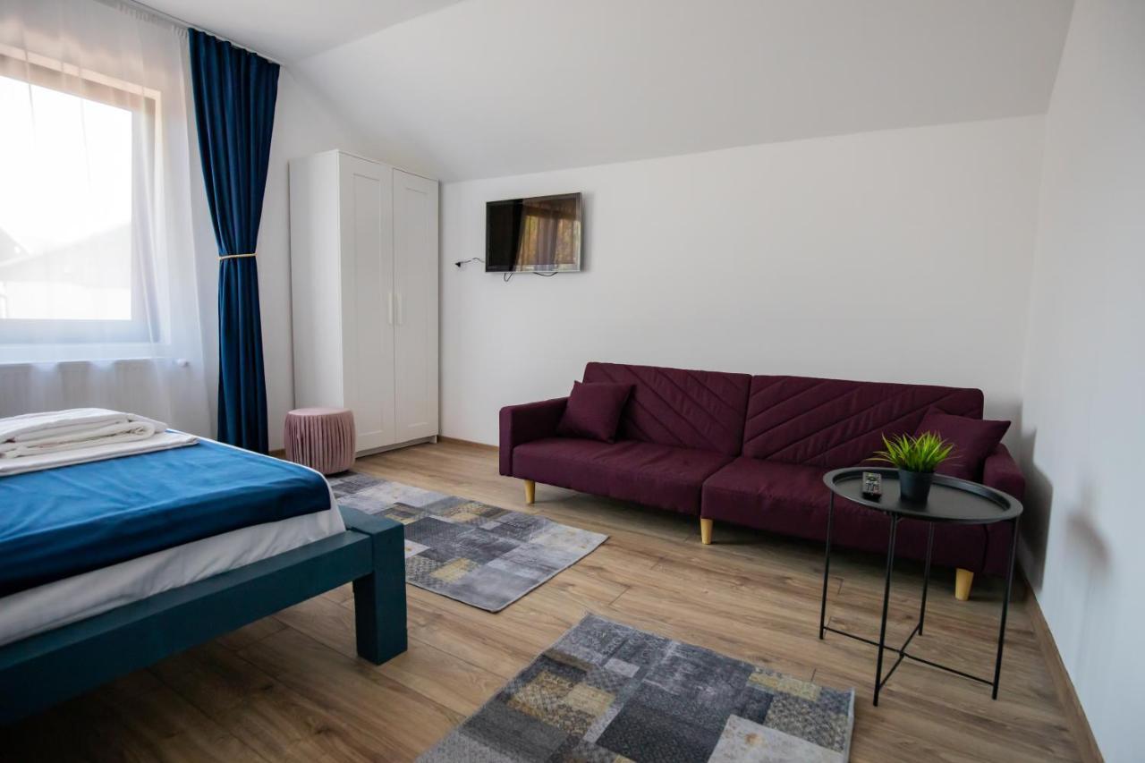 Dania&Petru Residence Aknavásár Kültér fotó